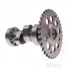 Motor - Vačková hřídel – tuning