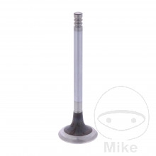 Motor - Ventil výfukový SBR