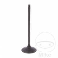 Ventil sací originální díl