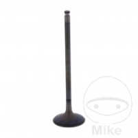 Ventil sací originální díl